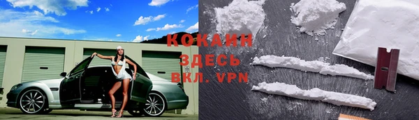 бошки Нея