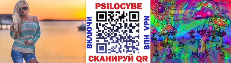ОМГ ОМГ как зайти  Ленск  Псилоцибиновые грибы Cubensis 